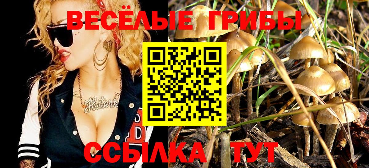 Галлюциногенные грибы мицелий Сергиев Посад