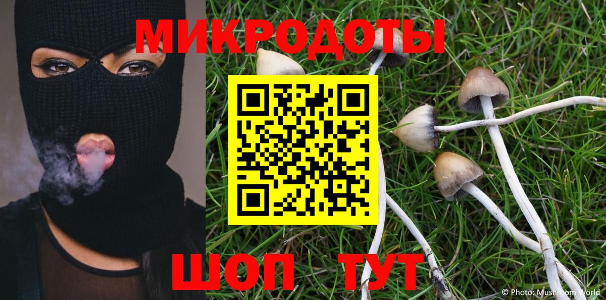 хочу   Галлюциногенные грибы Cubensis  Вход с VPN  Сергиев Посад 